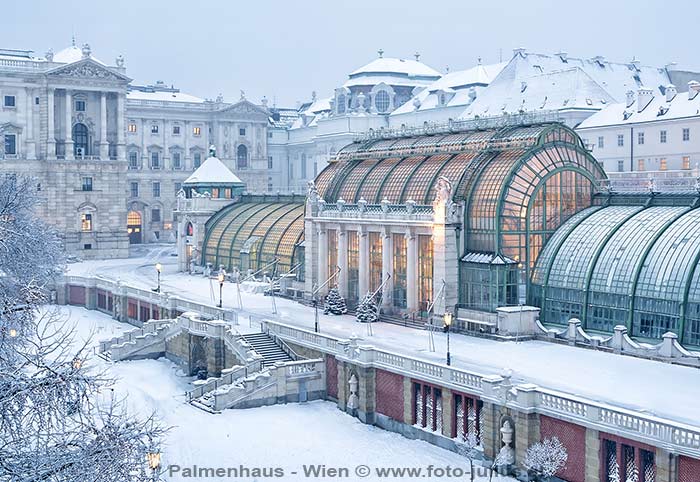 W_7795_Palmenhaus_Volksgarten.jpg, 80kB