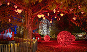 W8233_Rathauspark.jpg, 15kB