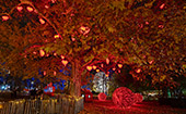 W8234_Rathauspark.jpg, 14kB