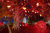 W8235_Rathauspark.jpg, 16kB