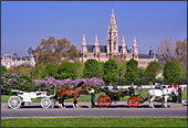 Vienna, Pferdekutschen, im Hintergrung: Rathaus,Photo Nr.: W2327