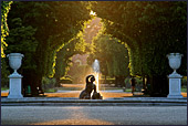 Vienna, Schoenbrunn, Photo Nr.: W3281