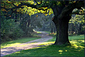 Vienna, Praterpark, Prater Park, Photo Nr.: W3794