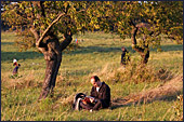 Vienna, Steinhofgrnde, Steinhof, Erholungspark, Photo Nr.: W3839