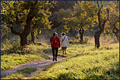 Vienna, Steinhofgrnde, Steinhof, Erholungspark, Photo Nr.: W3840