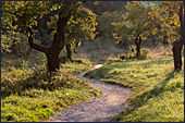 Vienna, Steinhofgrnde, Steinhof, Erholungspark, Photo Nr.: W3841