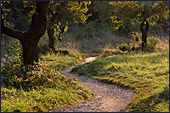 Vienna, Steinhofgrnde, Steinhof, Erholungspark, Photo Nr.: W3842