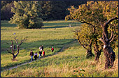 Vienna, Steinhofgrnde, Steinhof, Erholungspark, Photo Nr.: W3844