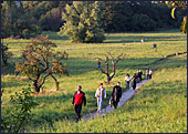 Vienna, Steinhofgrnde, Steinhof, Erholungspark, Photo Nr.: W3845