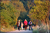 Vienna, Steinhofgrnde, Steinhof, Erholungspark, Photo Nr.: W3851