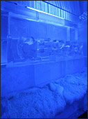 Vienna, Icebar Vienna, Eisbar Eis Bar, Photo Nr.: W3887