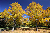 Vienna, Kurpark Oberlaa, Photo Nr.: W3923