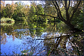 Vienna, Kurpark Oberlaa, Photo Nr.: W3929