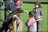 Vienna, Kurpark Oberlaa, Streichel- ZOO, Photo Nr.: W3936