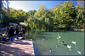 Vienna, Kurpark Oberlaa, Photo Nr.: W3943