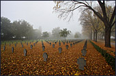 Vienna, Zentralfriedhof, Soldaten Friedhof, Photo Nr.: W4002