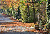 Vienna, Sankt Marxer Friedhof, Photo Nr.: W4023