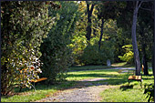 Vienna, Sankt Marx Friedhof, Photo Nr.: W4032