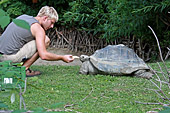 Vienna, Zoo, Riesenschildkrte, Photo Nr.: W4657