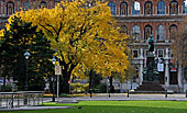 Vienna, Kunstakademie, Photo Nr.: W5240