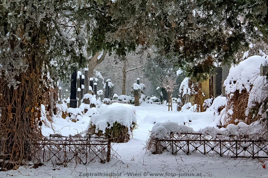 W5391_Zentralfriedhof_Winter_Wien.jpg, 249kB